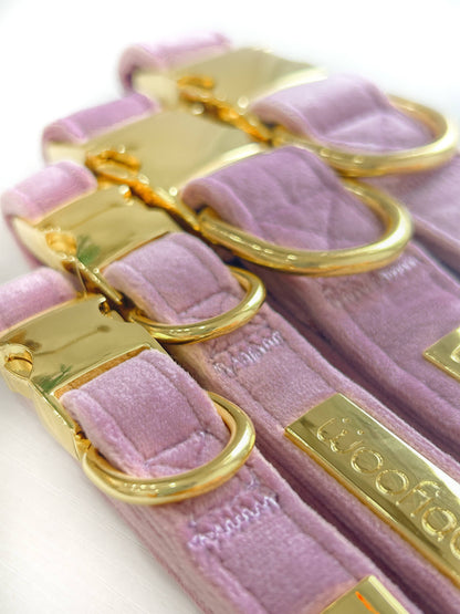 Lavanda Velvet Dog Collar - Woofiao