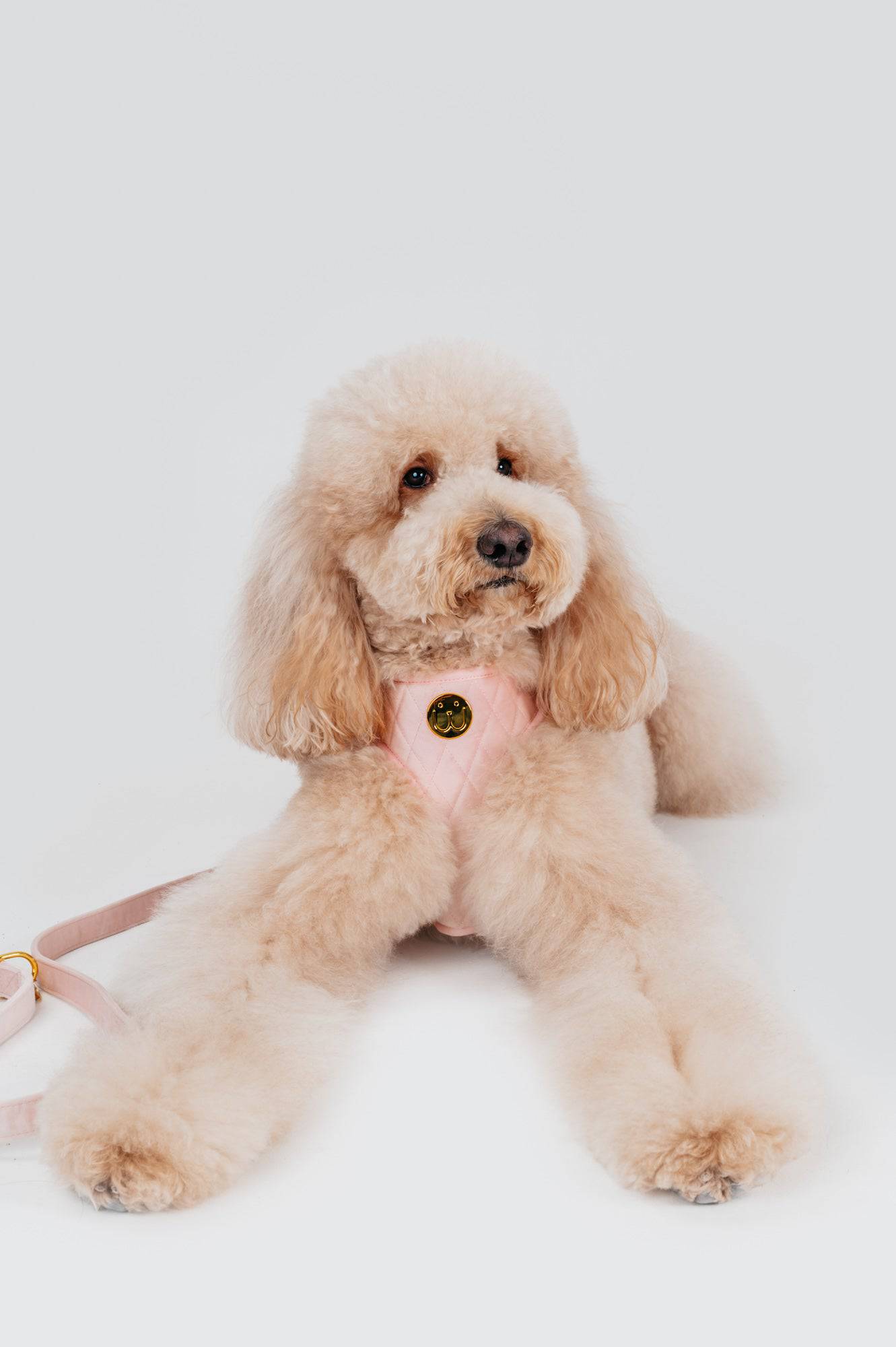 Cotton Pink Velvet Harness - Woofiao