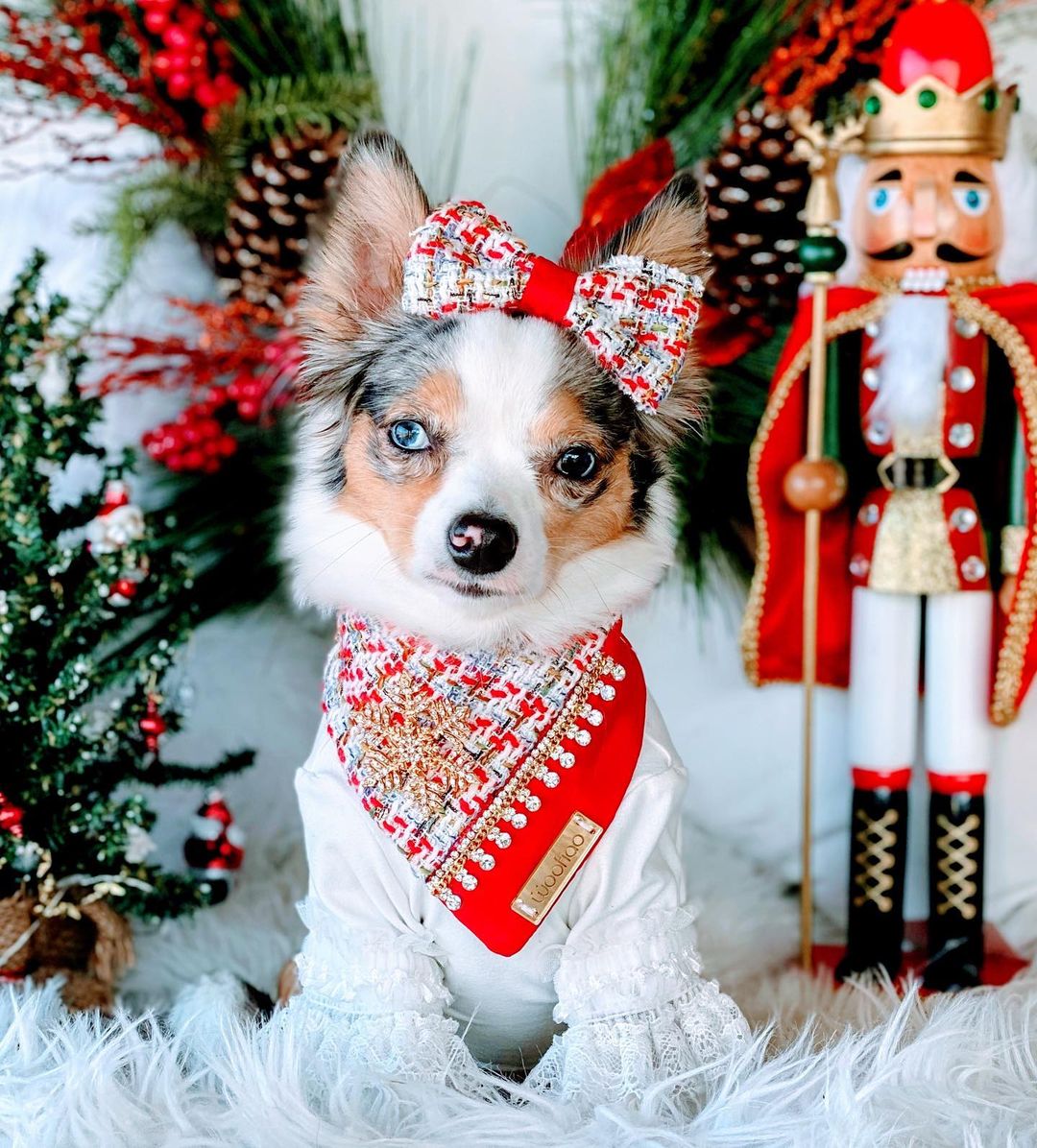 Christmas Dream for Her Bandana