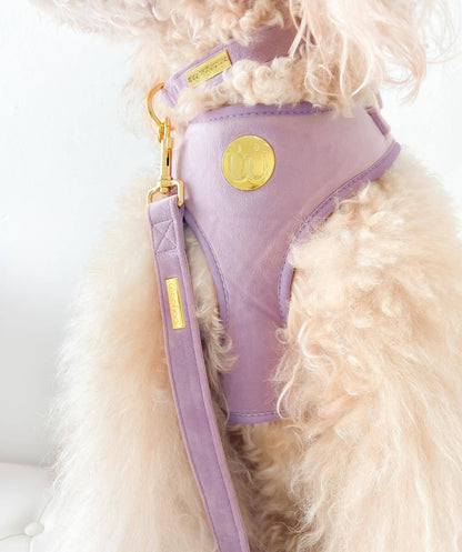 Lavanda Velvet Harness & Leash Bundle - Woofiao