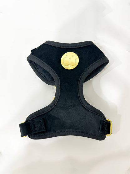 Royalty Black Velvet Harness - Woofiao