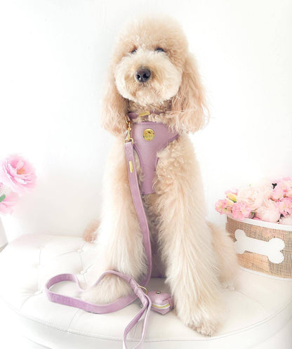 Lavanda Velvet Harness & Leash Bundle - Woofiao