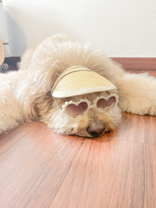 Summer Visor Hat for Dogs