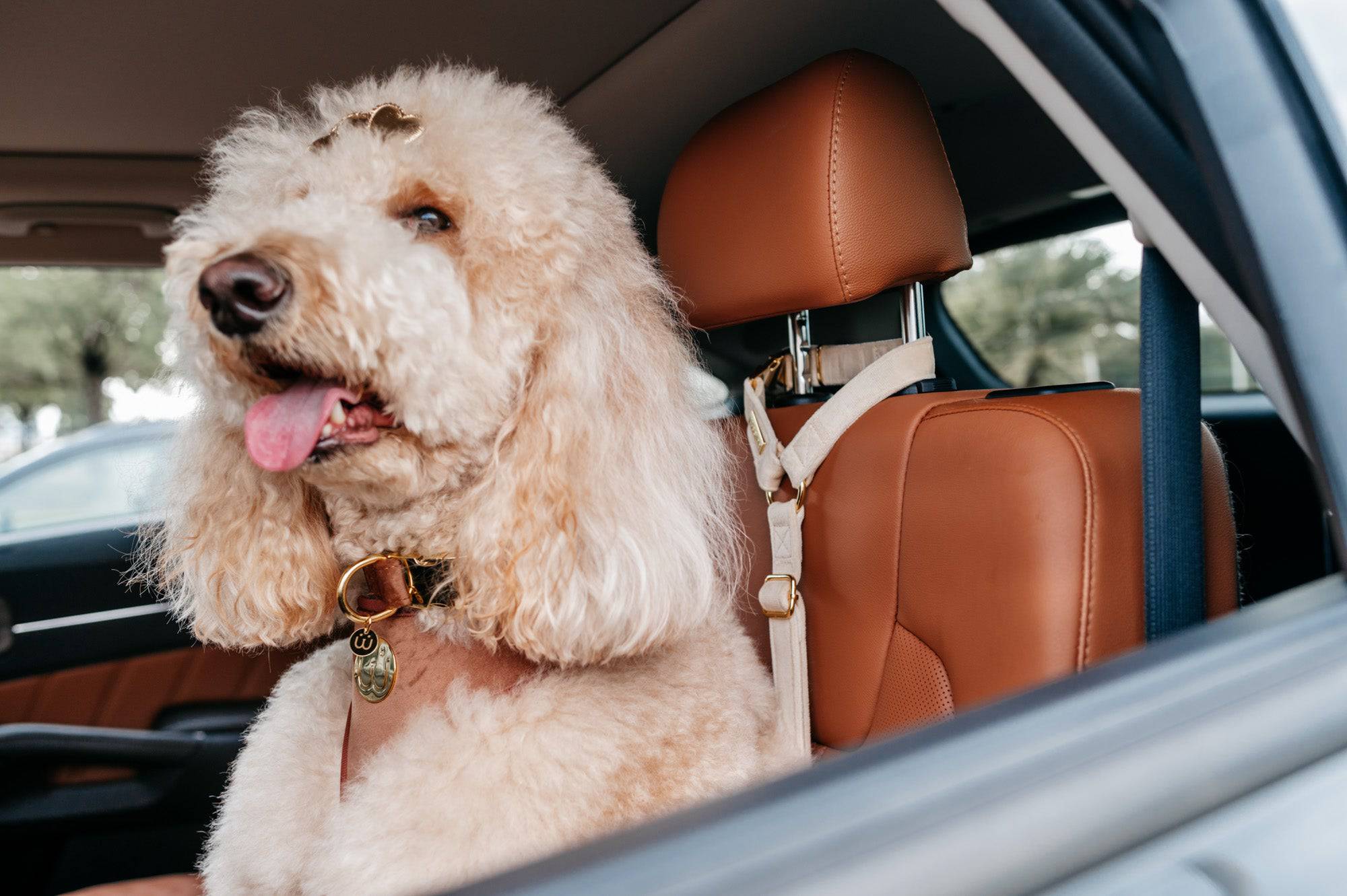 Ivory Velvet Seatbelt - Woofiao