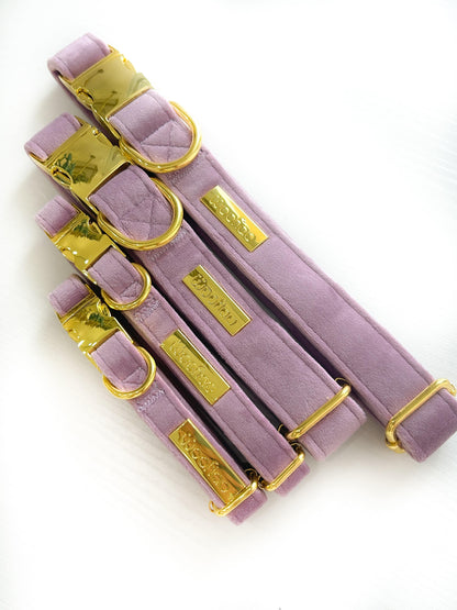 Lavanda Velvet Dog Collar - Woofiao