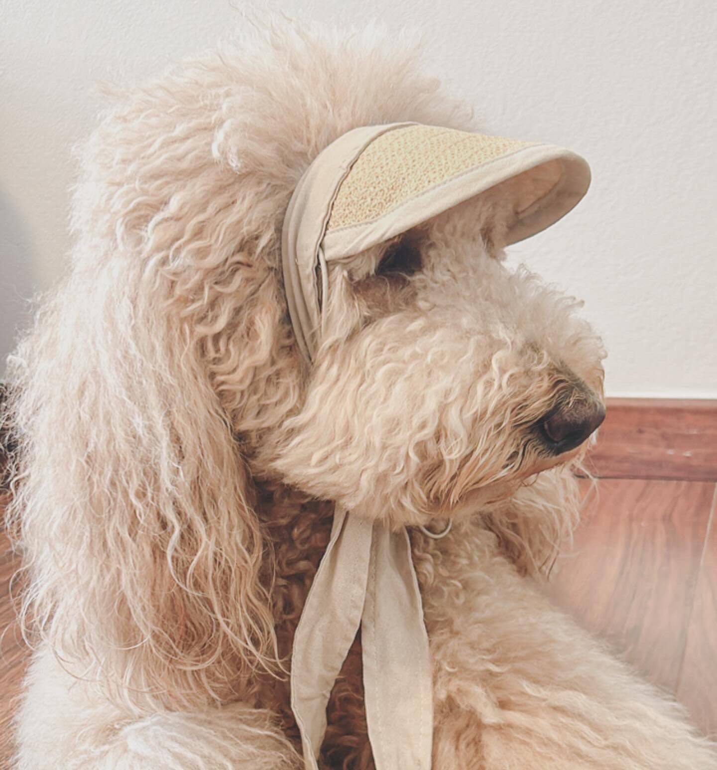 Summer Visor Hat for Dogs - Woofiao