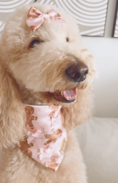 Cutesy Ginger Bandana - Woofiao