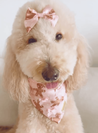 Cutesy Ginger Bandana - Woofiao