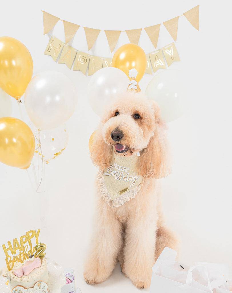 Birthday Boho Bandana - Woofiao