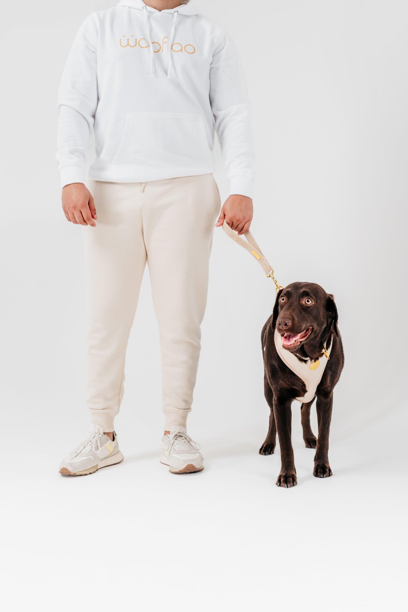 Chai Velvet Traffic Short Leash - Woofiao