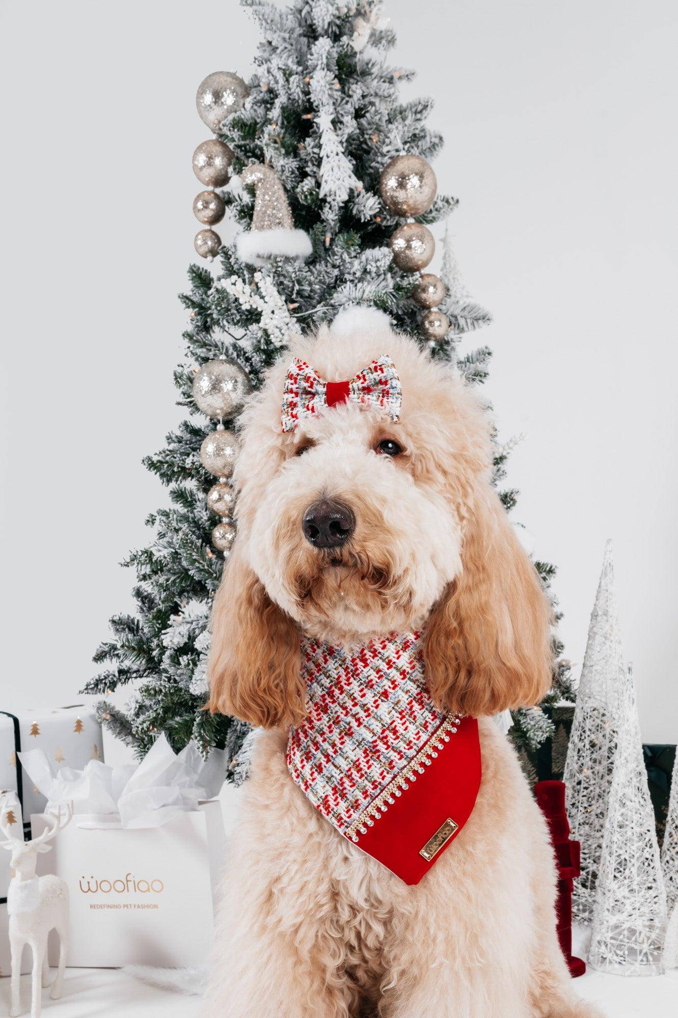 Christmas Dream for Her Bandana - Woofiao