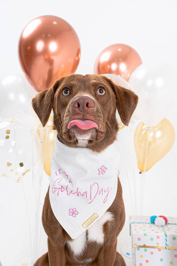 Girl-Birthday and Gotcha Bandana - Woofiao