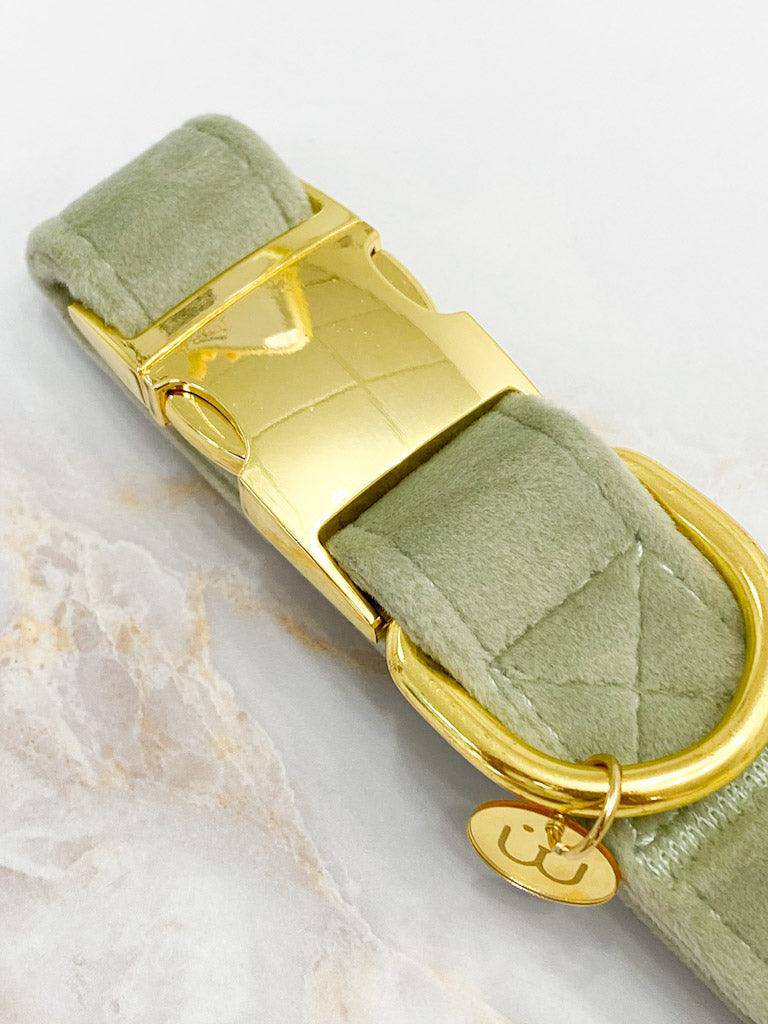 Matcha Velvet Dog Collar - Woofiao