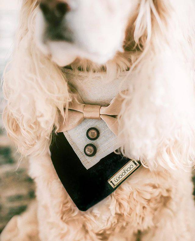 Wedding Bandana for Him - Woofiao